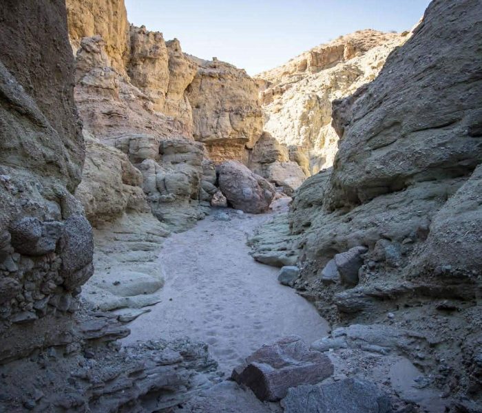 received_1441041554292163