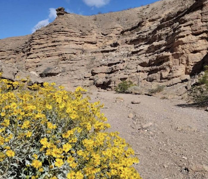 received_1571908363931312