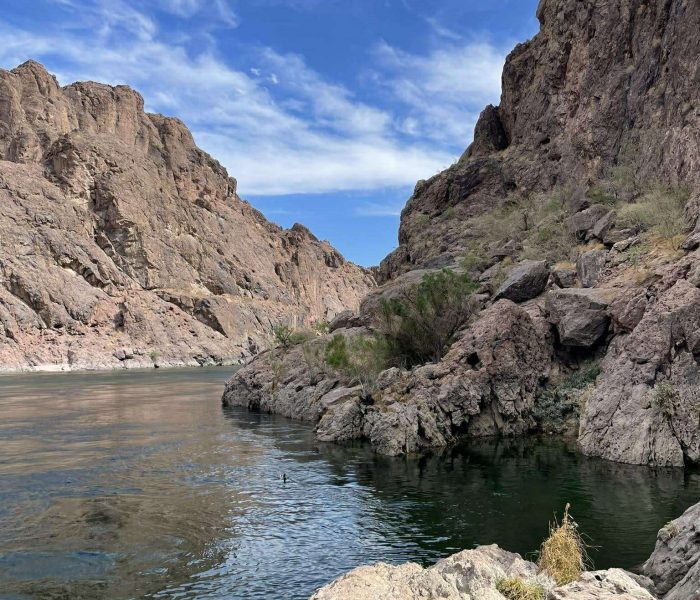 received_2081279719323082