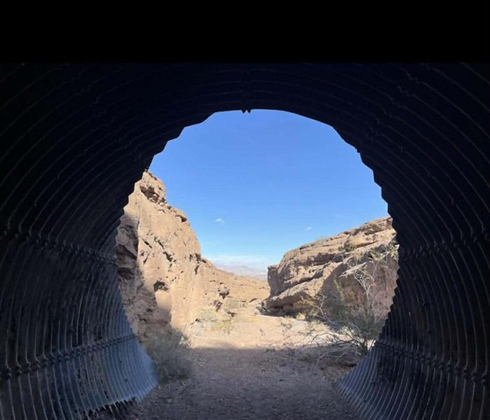 received_736136816017169