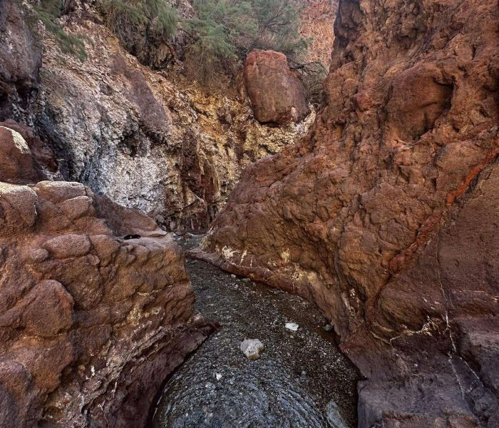 received_901841055919476