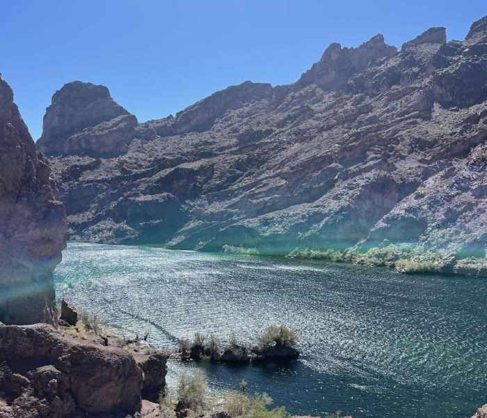 received_933882895828217